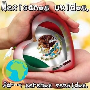 Meet your Posher, Onecimo